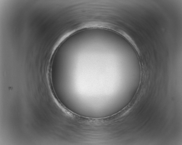 X0000080700901200612150833