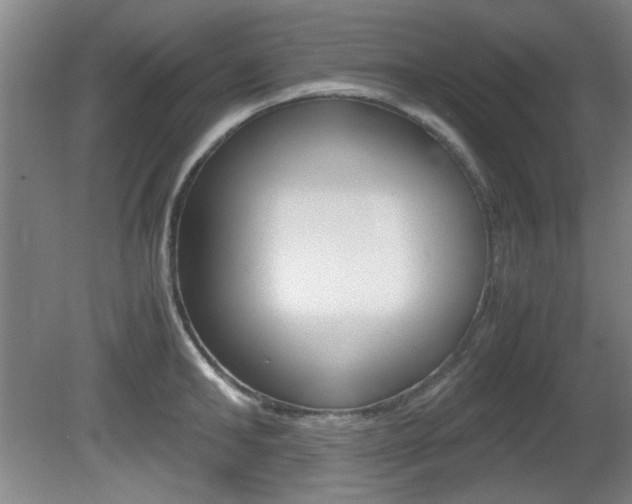 X0000080700902200612150833