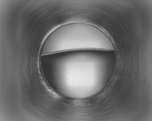 X0000080700904200612150833