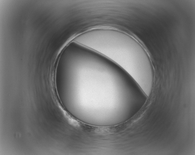 X0000080700909200612150833