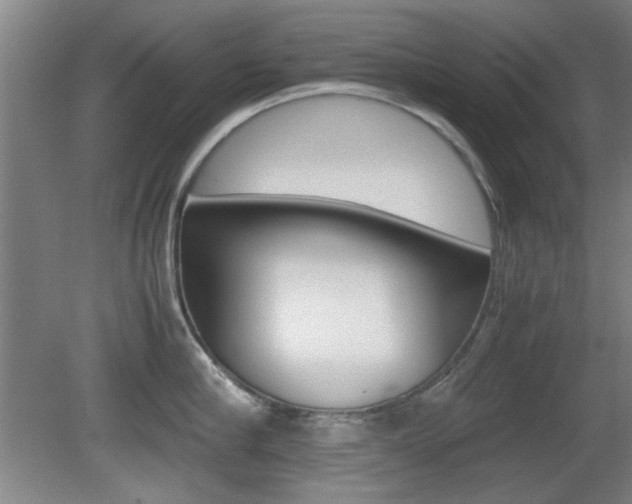 X0000080700910200612150833