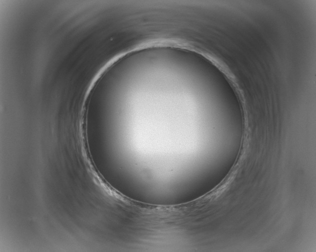 X0000080700912200612150833