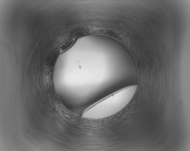 X0000080700914200612150832