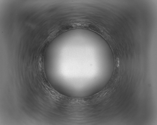 X0000080700915200612150832