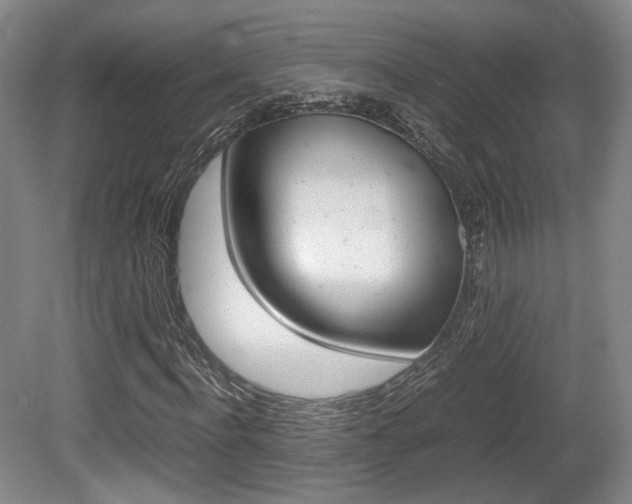 X0000080700916200612150832