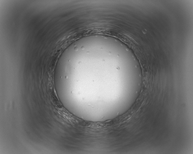 X0000080700917200612150832