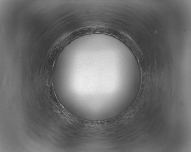 X0000080700919200612150832