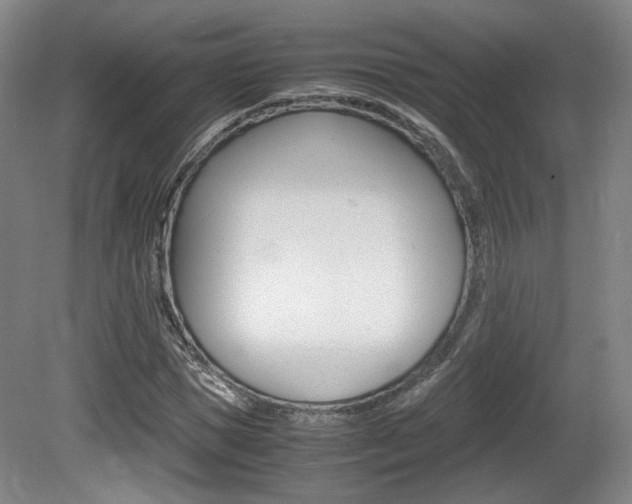 X0000080700921200612150832