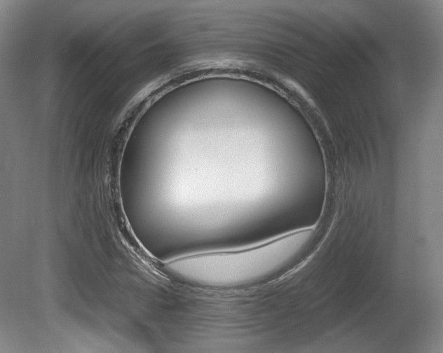 X0000080700922200612150832