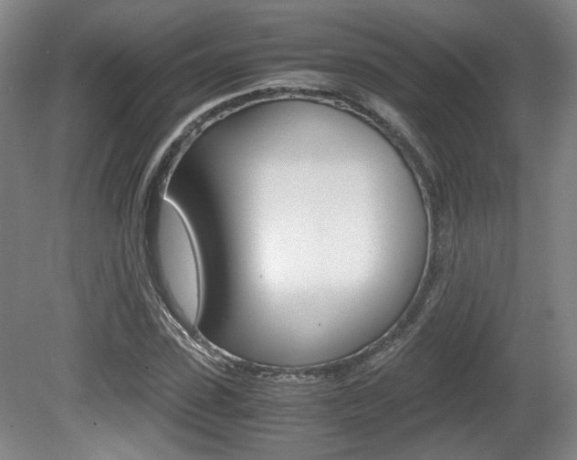 X0000080700923200612150832