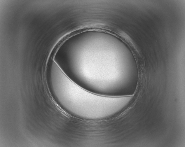X0000080700924200612150832
