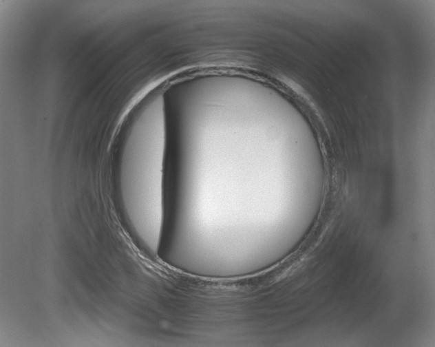 X0000080700925200612150832