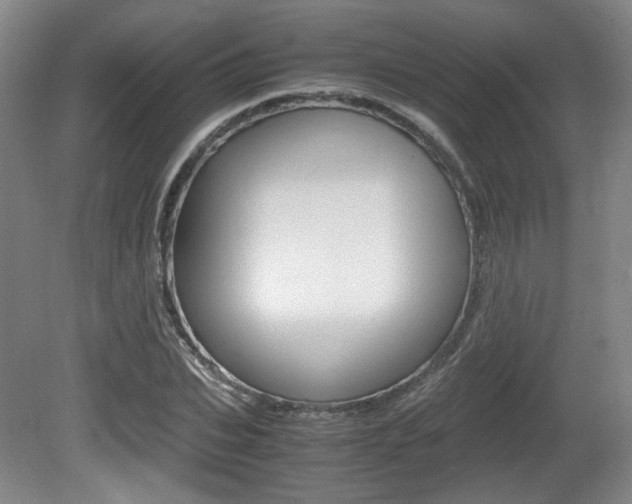 X0000080700927200612150833
