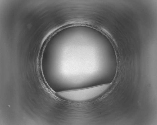 X0000080700928200612150833