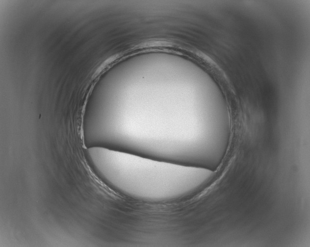 X0000080700929200612150833