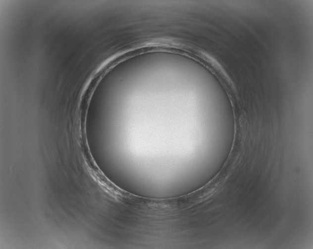 X0000080700931200612150833