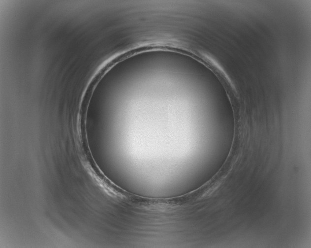 X0000080700932200612150833