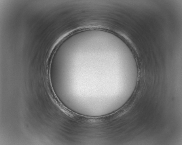 X0000080700933200612150833