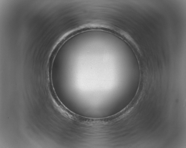 X0000080700934200612150833
