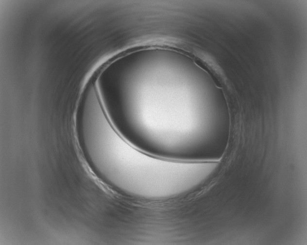 X0000080700936200612150833