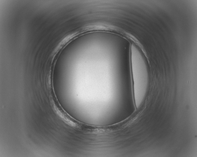 X0000080700938200612150833