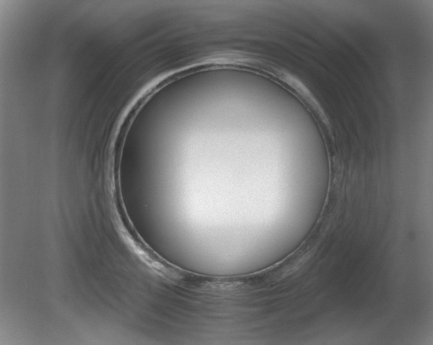 X0000080700939200612150833
