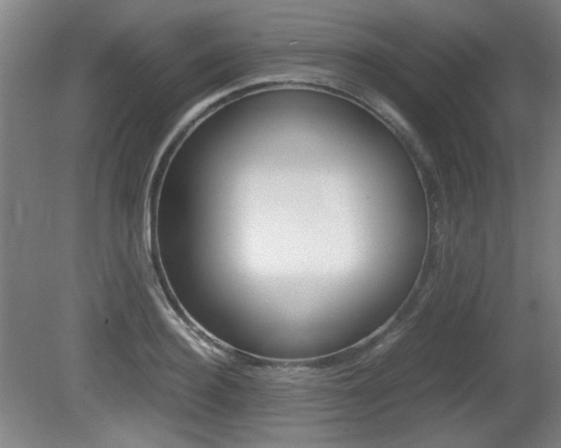 X0000080700940200612150833