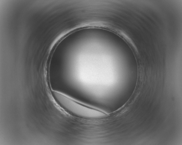 X0000080700944200612150833