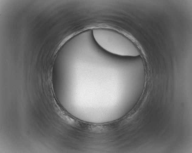 X0000080700945200612150833