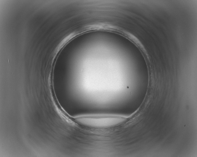 X0000080700946200612150833