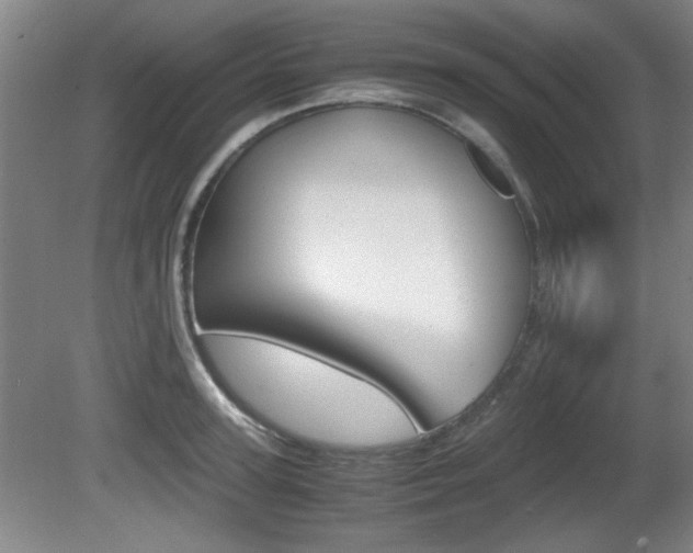 X0000080700947200612150833