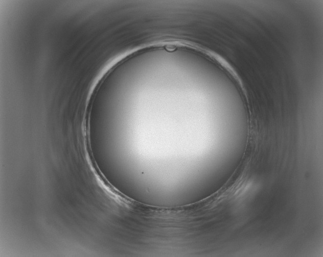 X0000080700951200612150833
