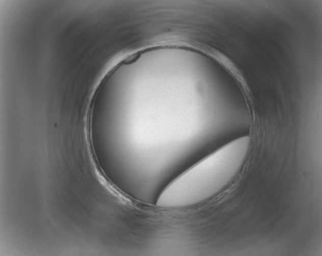 X0000080700958200612150833