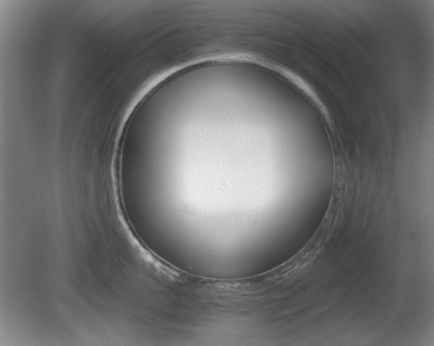 X0000080700959200612150833