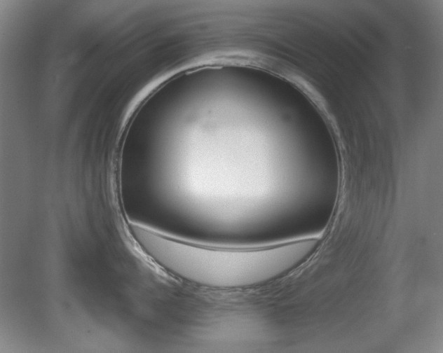 X0000080700960200612150833