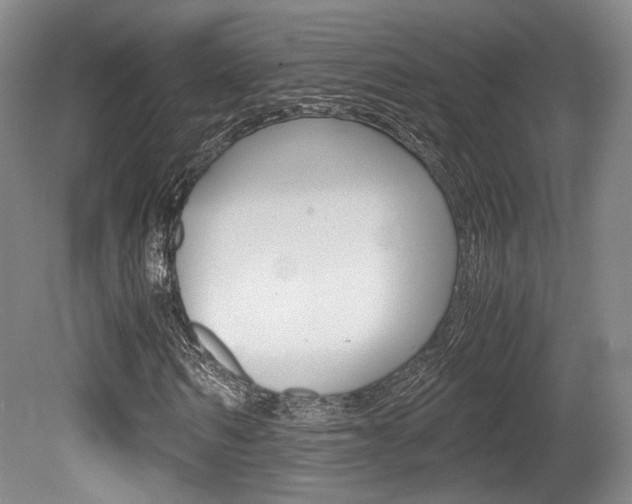 X0000080700962200612150832