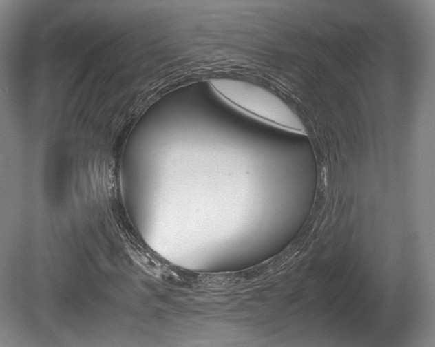 X0000080700963200612150832