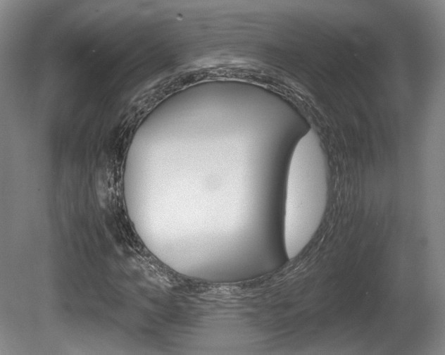 X0000080700966200612150832
