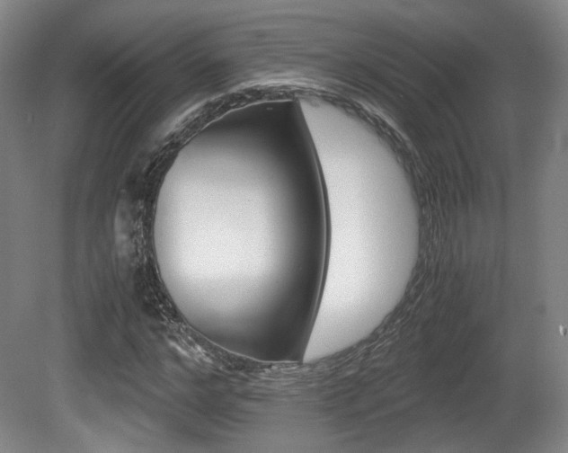 X0000080700968200612150832