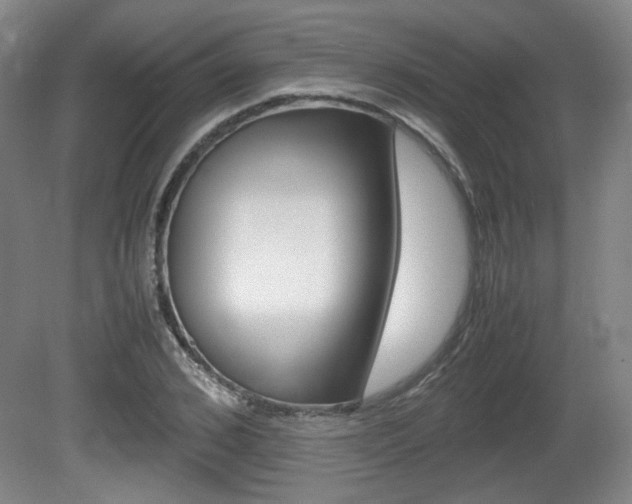 X0000080700976200612150832