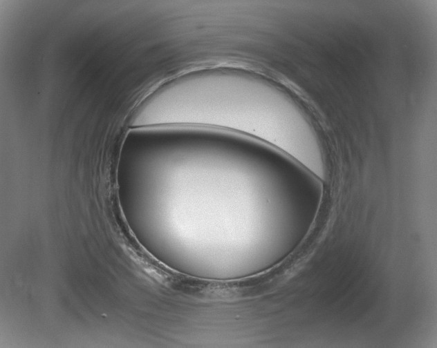 X0000080700977200612150832