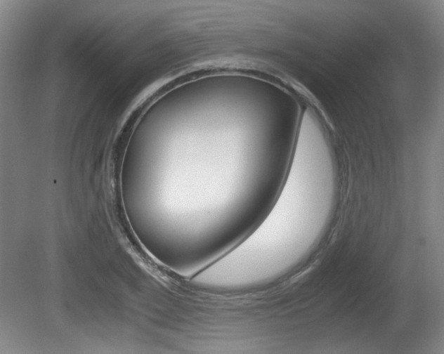 X0000080700981200612150832