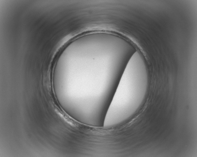 X0000080700982200612150832