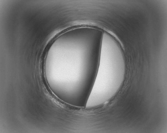 X0000080700983200612150832