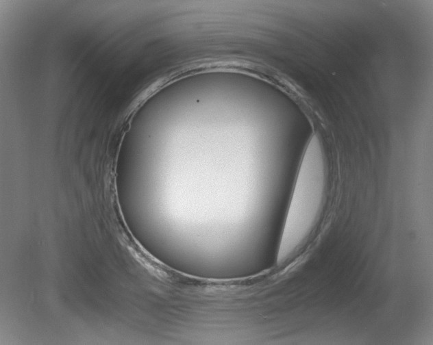 X0000080700985200612150832