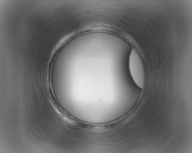 X0000080700986200612150832