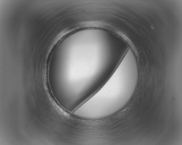 X0000080700992200612150832