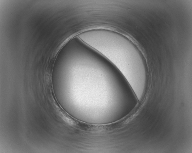 X0000080700993200612150832