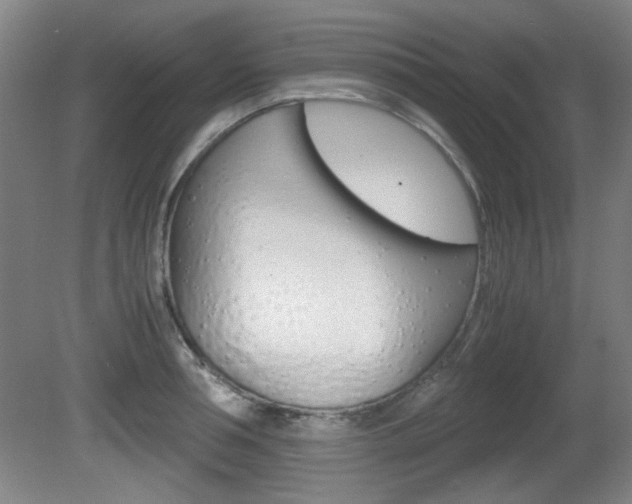 X0000080700994200612150832