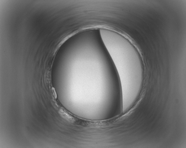 X0000080701001200612150832
